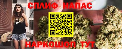 амфетамин Гатчина