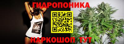гашик Гусь-Хрустальный