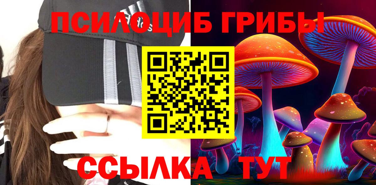 Мичуринск  Галлюциногенные грибы мухоморы  Псилоцибиновые грибы ЛСД  Вход с VPN 